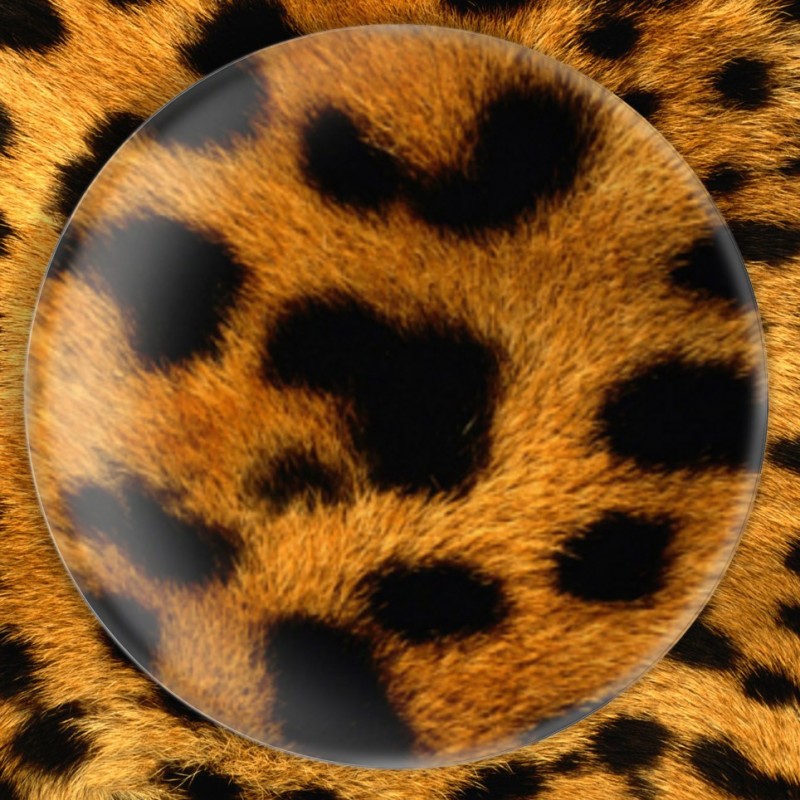 Léopard - Badge Ø25mm