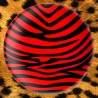 Zebre Rouge