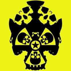 Fuckushimaskull - visuel