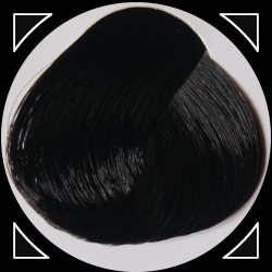 EBONY teinture cheveux LaRiché