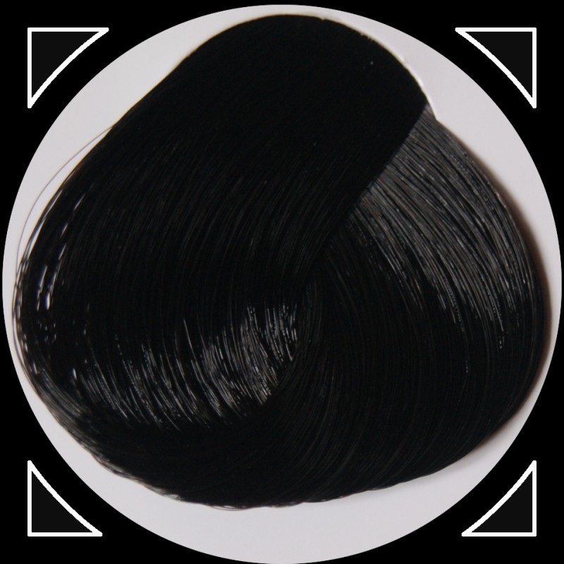 EBONY teinture cheveux LaRiché