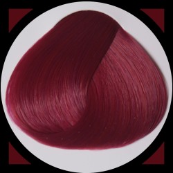 TULIP teinture cheveux LaRiché