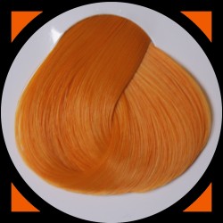 APRICOT teinture cheveux LaRiché