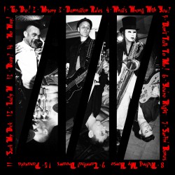 BULGARIAN YOGURT CD 2016