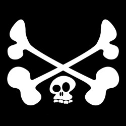 Tête de mort, t-shirt bio, homme, noir