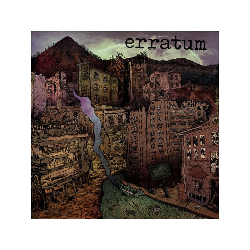 Les Mauvais Garcon Font Du Bon Son Erratum LP