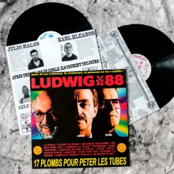 ANARTISANART Les mauvais garçons font bonne impression LUDWIG VON 88 17 plombs pour peter les tubes Vinyle LP