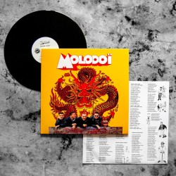 ANARTISANART Les mauvais garçons font bonne impression Molodoï - Dragon Libre Vinyle LP