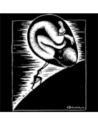 ANARTISANART Les mauvais garçons font bonne impression DROOKER Sister Sisyphus