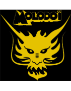 ANARTISANART Les mauvais garcons font bonne impression MOLODOÏ Dragon