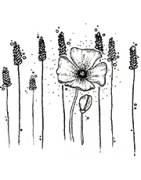 ANARTISANART Les Mauvais Garcons Font Bonne Impression CAT la survie du coquelicot